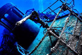 Bí mật gây sốc nằm sâu trong xác tàu đắm 500 năm tuổi