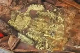 Khai quật mộ cổ thời nhà Thanh, bất ngờ với người nằm trong quan tài