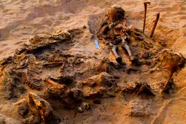 Phát hiện chấn động đứa trẻ chôn cùng 142 con chó ở Ai Cập 