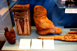 Tiết lộ sự thật về xác ướp khỉ đầu chó Ai Cập cổ đại 