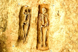 Khai quật mộ cổ cặp đôi quý tộc Đức, cảnh tượng bên trong gây choáng