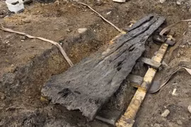 Sự thật 'động trời' đằng sau khúc gỗ 3.500 năm tuổi 