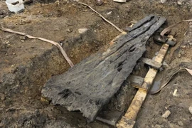 Sự thật 'động trời' đằng sau khúc gỗ 3.500 năm tuổi 