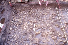 Vén màn bí ẩn vườn khoai tây ngập nước 3.800 năm tuổi 