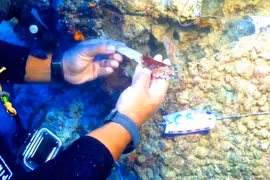 Bí ẩn dao găm đồng 3.600 năm tuổi nằm trong xác tàu đắm