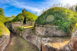 Rúng động phát hiện răng sói trong ngôi mộ hỏa táng cổ đại 