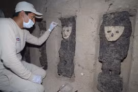 Khai quật tượng đá Peru nghìn năm tuổi hé lộ bí mật thời Chimu cổ