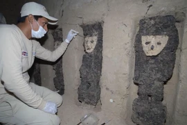 Khai quật tượng đá Peru nghìn năm tuổi hé lộ bí mật thời Chimu cổ