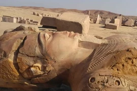 Bí ẩn 225 bức tượng trong lăng mộ vua Pharaoh Shoshenq III 