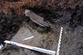 Phát hiện 'chi tiết lạ' trên bàn tay gỗ 6.000 năm tuổi ở Nga 