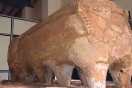 Phát hiện quan tài bằng đất nung 12 chân, chuyên gia sững sờ