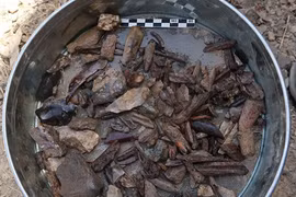 Hang đá cổ 150.000 tuổi tiết lộ hành trình của loài người cổ đại