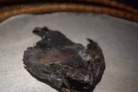 Bí ẩn 13 con cá muối trong lăng mộ cổ 