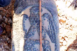 Hình đại bàng lạ lùng trên tấm bia đá La Mã 2.000 năm tuổi 