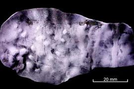 Tìm thấy miếng chì cổ chứa lời nguyền ghê rợn của quỷ Satan