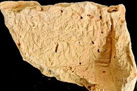 Tìm thấy phiến đá nguyền rủa 3.500 năm làm rung chuyển giới khảo cổ