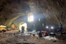 Thứ quái dị trong hang động Lâu đài Pembroke