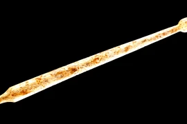 Bí ẩn bút xương Celt 2.000 năm tuổi hé lộ lịch sử nhân loại