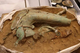 Kỳ lạ kèn chiến thời Đồ Sắt được khai quật tại Norfolk