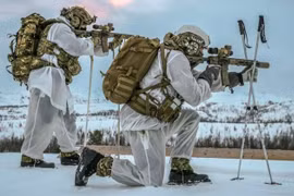 Lính Thủy quân Lục chiến Hoàng gia Anh tại Bắc Cực