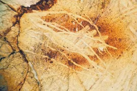 Phát hiện 65 'bàn tay' bí ẩn trên đá 27.000 năm tuổi