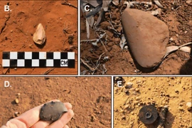 Phát hiện kho công cụ đá quý hiếm ở Úc, lịch sử phải viết lại