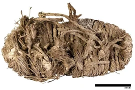 Ngỡ ngàng chiếc dép 650 năm tuổi trong tổ kền kền hang động