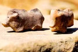 Tượng lợn đất sét cổ đại hé lộ bí ẩn thời đồ đồng