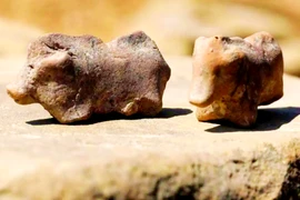 Tượng lợn đất sét cổ đại hé lộ bí ẩn thời đồ đồng