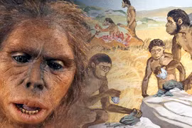 Khám phá xương Homo habilis cổ đại giúp hiểu rõ nguồn gốc loài người