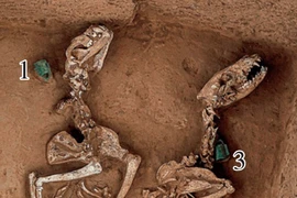 Sự thật rùng mình trong vườn thú 3.000 năm tuổi ở Trung Quốc