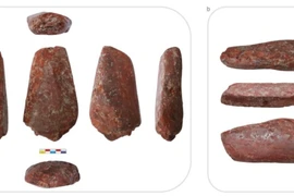 Bảng màu Thời kỳ Đồ Đá Mới 