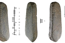 Dọn vườn, phát hiện hòn đá có chữ Ogham kỳ lạ 