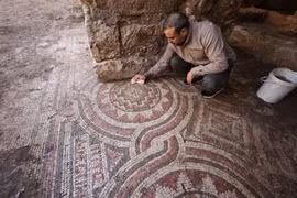 Tình cờ tìm thấy tranh sàn khảm 1.500 năm tuổi trong nhà máy cũ