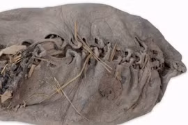 Chiếc giày da cổ nhất thế giới tiết lộ bí mật bất ngờ