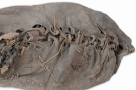 Chiếc giày da cổ nhất thế giới tiết lộ bí mật bất ngờ