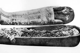 Phục dựng khuôn mặt Pharaoh Amenhotep I, diện mạo thật gây sốc