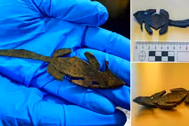  Bí ẩn con chuột đồ chơi La Mã gây sốt giới khảo cổ học