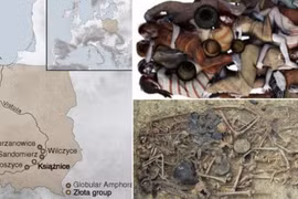 Mở ngôi mộ tập thể 5.000 năm, hé lộ vụ thảm sát kinh hoàng 