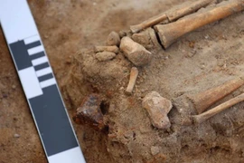 Chuyên gia hốt hoảng thấy thứ kỳ dị trong ngôi mộ cha con 5.000 năm 