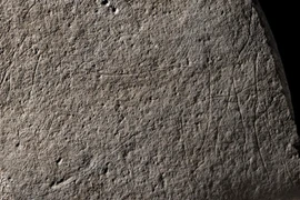 Bức khắc ngựa 12.000 năm tại Pháp hé lộ bí ẩn khảo cổ