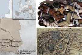 Mở ngôi mộ tập thể 5.000 năm, hé lộ vụ thảm sát kinh hoàng 