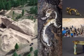 Rồng bạc kỳ dị trong lăng mộ người Hung Nô