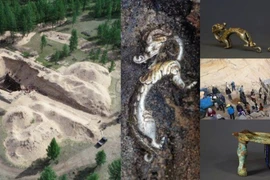 Rồng bạc kỳ dị trong lăng mộ người Hung Nô