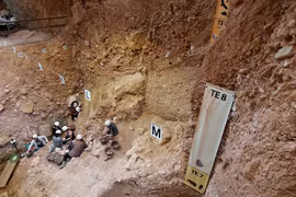 Tìm thấy bộ xương cổ đại thuộc về chủng người chưa từng biết đến?