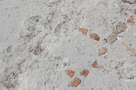 Khai quật bàn cờ Patolli bí ẩn hé lộ truyền thống chơi game Maya