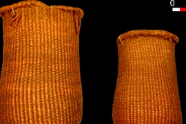 Châu Âu tìm thấy giỏ cổ nhất lịch sử, lộ bí mật động Trời