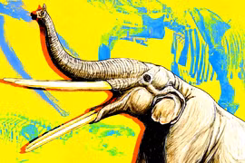 Phát hiện "nhà trẻ" voi cổ đại trên bãi biển Tây Ban Nha