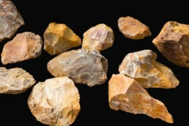 Phát hiện 'thiên đường tiền sử' 500.000 tuổi hé lộ bí mật loài người cổ