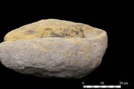 Cối xay cổ nhất châu Âu thay đổi cách nhìn về xã hội thời kỳ đá cũ